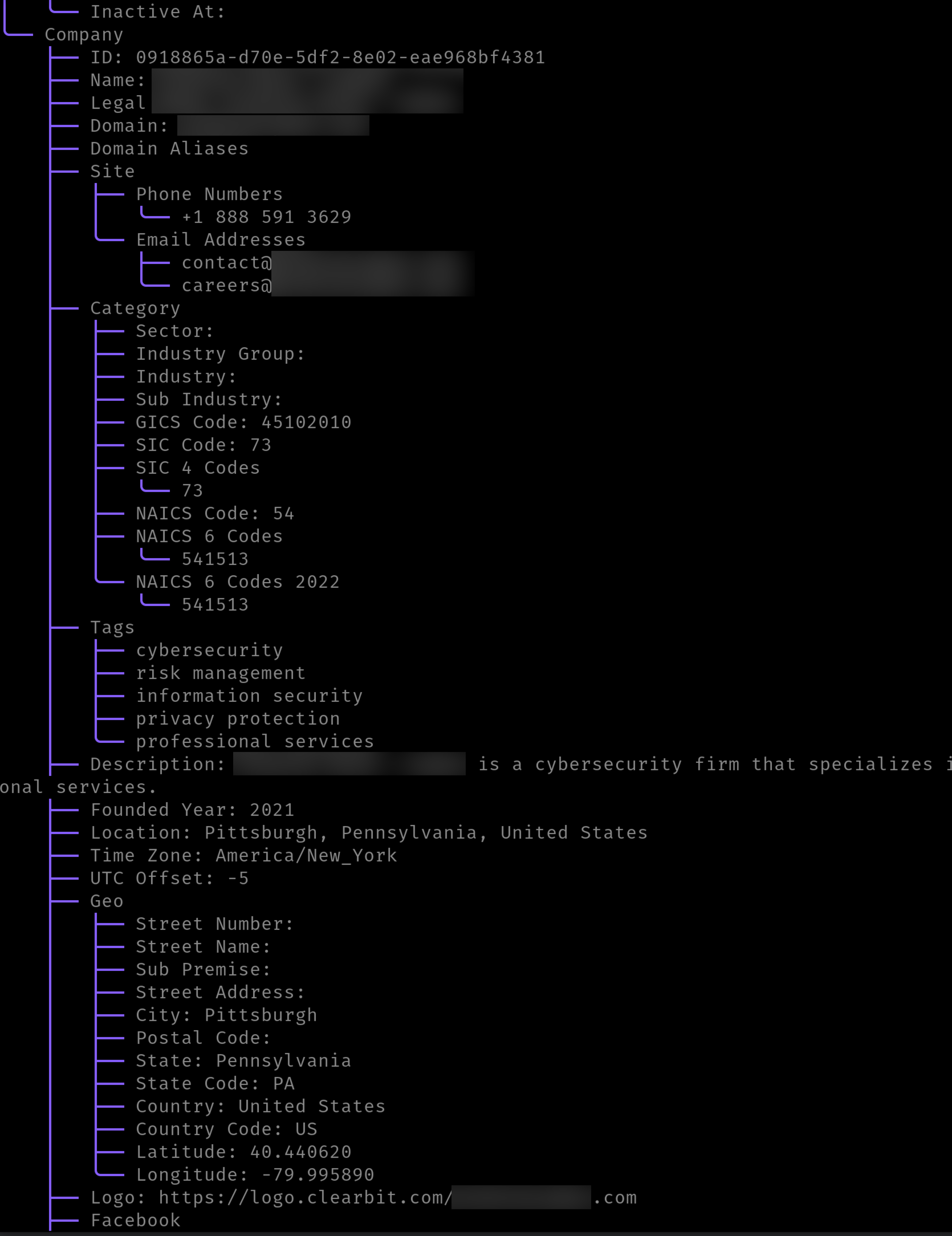 Hunter.io Combined Enrichment Alt text